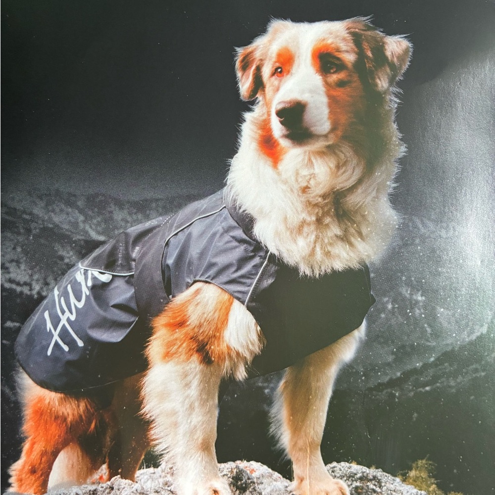 Large Dog Active Winter Jacket Red